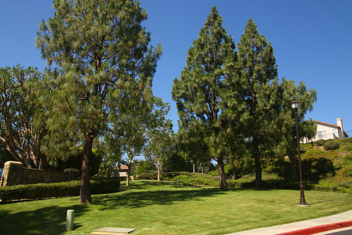Work Image